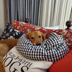 Meet your Posher, Susan